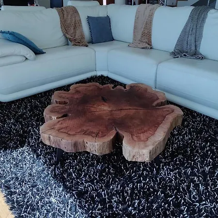 Madeira Mit Blick Auf Den Hafen * Funchal