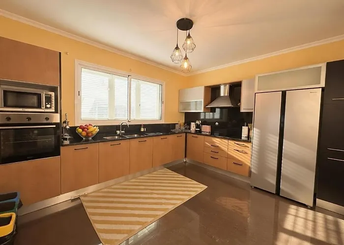 Madeira Mit Blick Auf Den Hafen