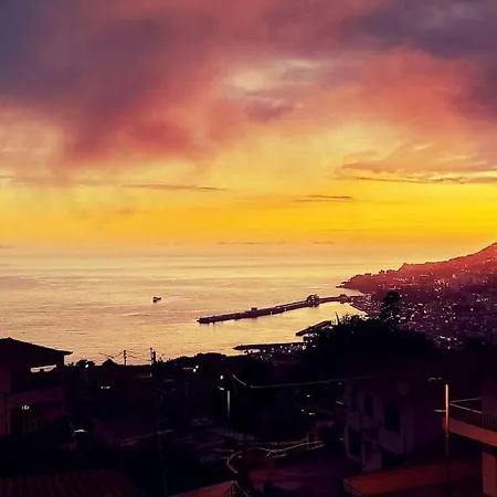 Madeira Mit Blick Auf Den Hafen *