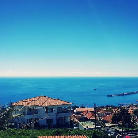 Madeira Mit Blick Auf Den Hafen * Funchal (Madeira)