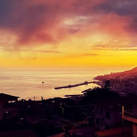 Madeira Mit Blick Auf Den Hafen * Funchal (Madeira)
