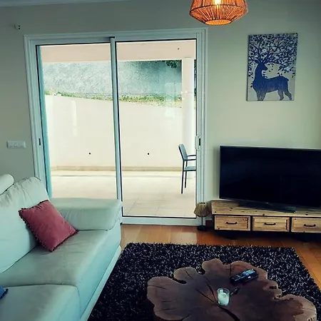 Madeira Mit Blick Auf Den Hafen 丰沙尔