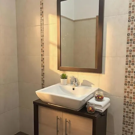 Madeira Mit Blick Auf Den Hafen