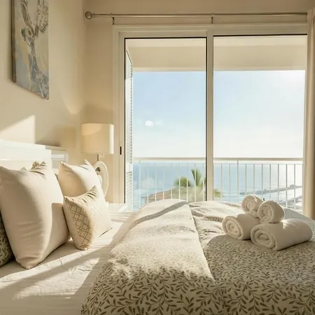 Madeira Mit Blick Auf Den Hafen