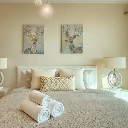 Madeira Mit Blick Auf Den Hafen *