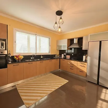 Madeira Mit Blick Auf Den Hafen