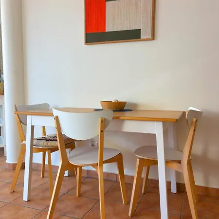 Madeira Mit Blick Auf Den Hafen * 丰沙尔