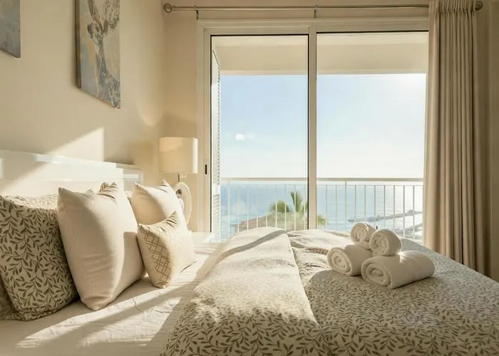 Madeira Mit Blick Auf Den Hafen