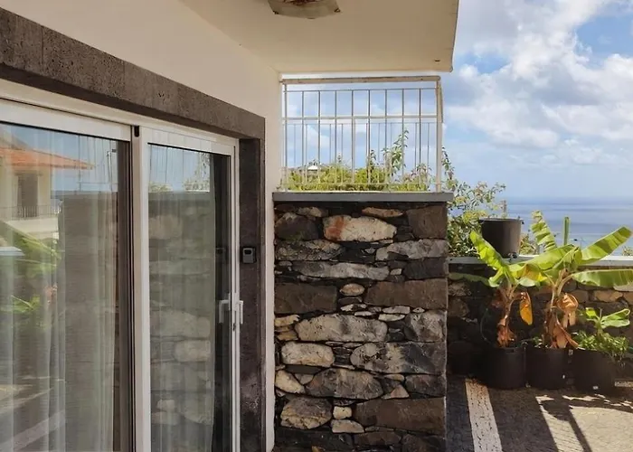 Madeira Mit Blick Auf Den Hafen